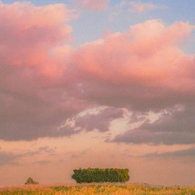 正规AG捕鱼王平台