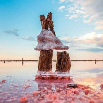 AG官方入口网址